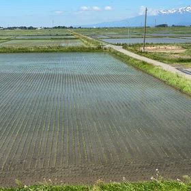 だし風　寒いの画像