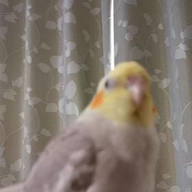 眠りに落ちそうの画像