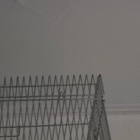 口笛の画像