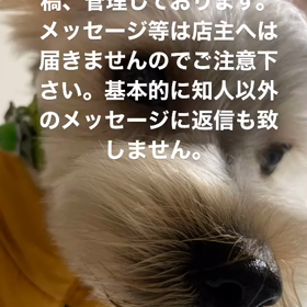 2023/11/13の画像