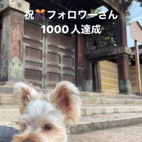 2024/05/07の画像