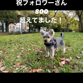 2023/12/16の画像