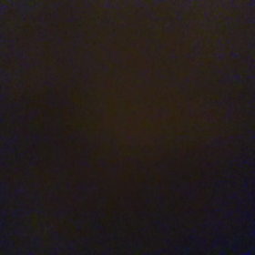 トットロトットーロの画像