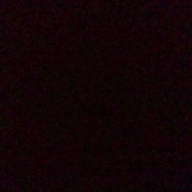 和音チャレンジ ７日目の画像