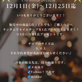 2024/12/01の画像