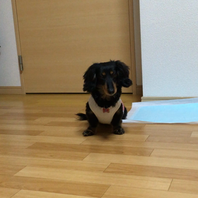 何かを訴えてる？の画像