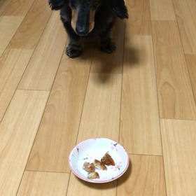 ふうちゃんにもおすそ分け❤︎の画像