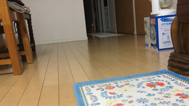 ふうちゃんのデータ整理とお土産との記事動画