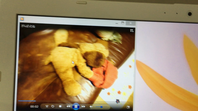 ふうちゃんのデータ整理とお土産との記事動画