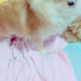 2015/06/15 動画の画像