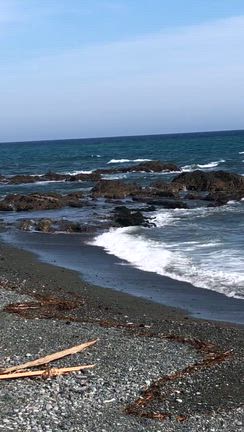 大磯海散歩　その４　照ケ崎の光る海の記事動画