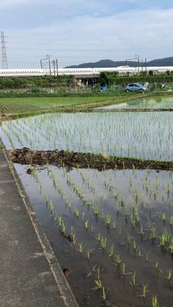 水鏡が見たくての記事動画