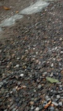 正式参拝の裏話します！　8月伊勢神宮に行ってきました。の記事動画