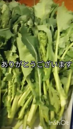素敵なよ◯◯先生&素敵なご子息様の記事動画