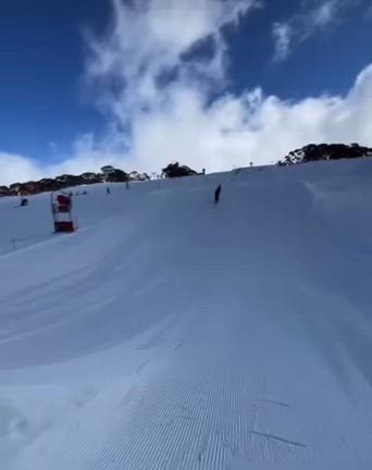 えっ！？おいおいおい！！の記事動画