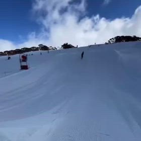 えっ！？おいおいおい！！の画像