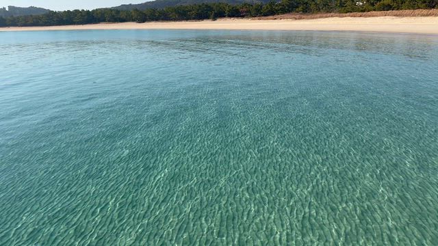 壱岐の島！ファーストフィッシュ２０２６の記事動画