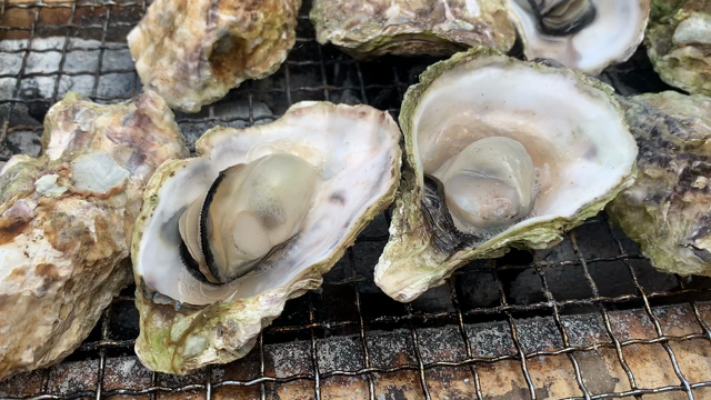 お休み頂いて、いざ福岡へ‼️の記事動画