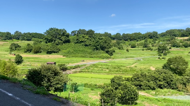 『奈良』明日香村、新薬師寺、東大寺の記事動画