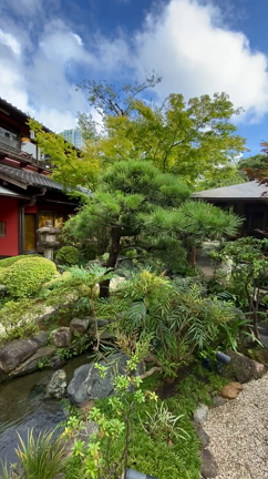 『芝』とうふ屋うかいでランチ♡の記事動画