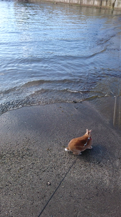 海の記事動画