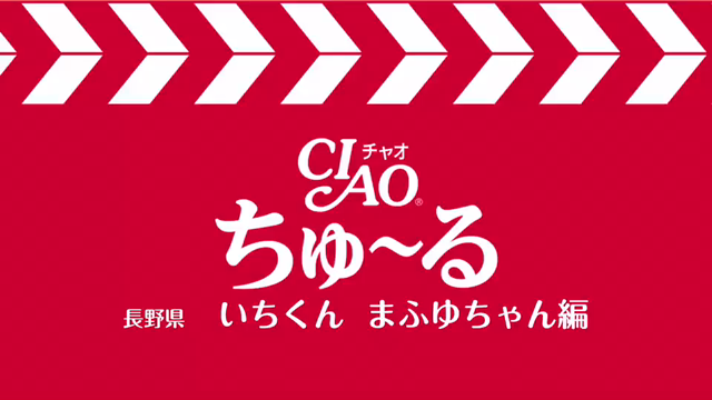 笑わせてくれる友達の記事動画