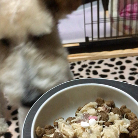 夕食♡の画像