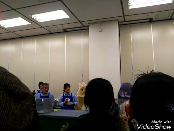 ybrcラビットショー 結果の記事動画
