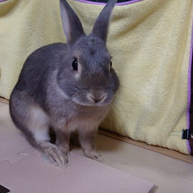 お久しぶりですよのサムネイル画像