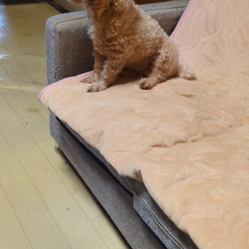 くさい？笑笑笑の画像