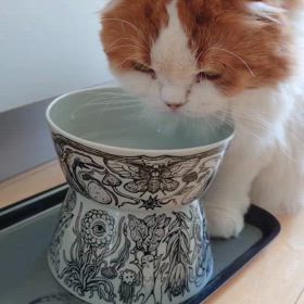 【ヒグチユウコ】ボリス雑貨店で購入した九谷焼の素敵なCATボウル❤のサムネイル画像