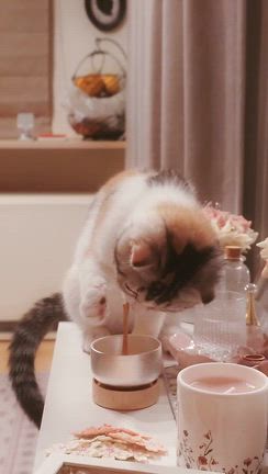 おしゃれで素敵な音色の¨おりん¨♡の記事動画