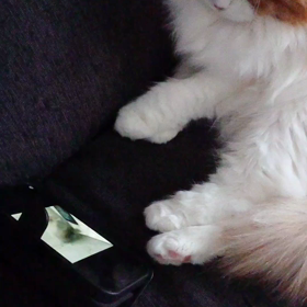 人生初のルイヴィトン❤のサムネイル画像