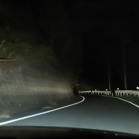 速報！イノシシ現わるの画像