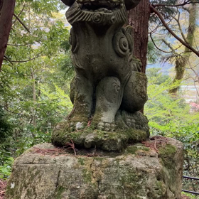 春休み～進級までの画像