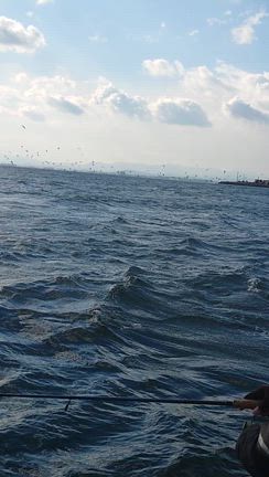 ８日キャスティング便の記事動画