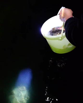 ２２日   ライトゲーム便の記事動画