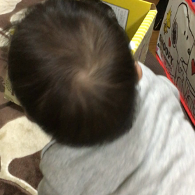 オールナイト/猫対がっちゅんの画像
