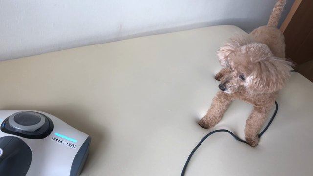 マダムモコ♡モコの思い出とライバルとのバトル！の記事動画