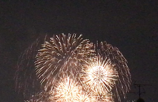 【追記あり】無病息災を祈りながら…3年ぶりのなにわ淀川花火大会と翌日の清掃活動の記事動画