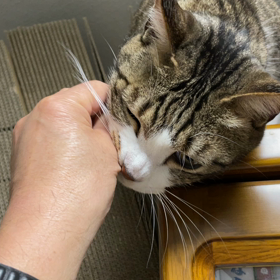 一日いないとこれだもんなぁの画像