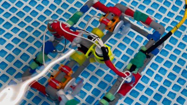 秘密の高等学校三谷水。その実情はいかに！？の記事動画