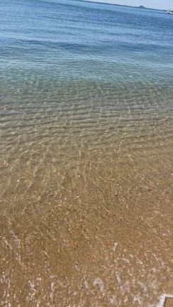 蒲郡の無人島BIG ISLANDその魅力とは！？の記事動画