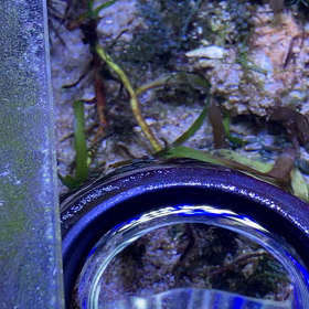 生存確認、が…の画像