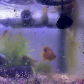 クーラー帰還の画像