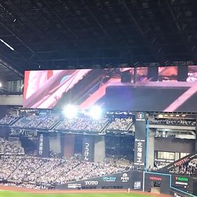 今年のプロ野球、終了〜の画像