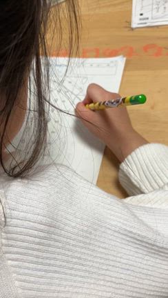 うちの毛虫の記事動画