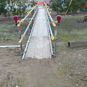 2016/11/27家のまわり③の画像