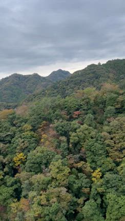 御岩神社と初バンジー⭐︎の記事動画