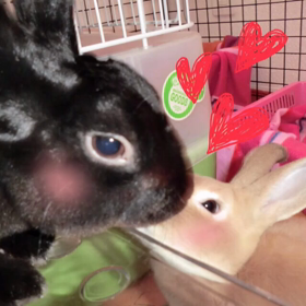 こじらせ中（笑）の画像
